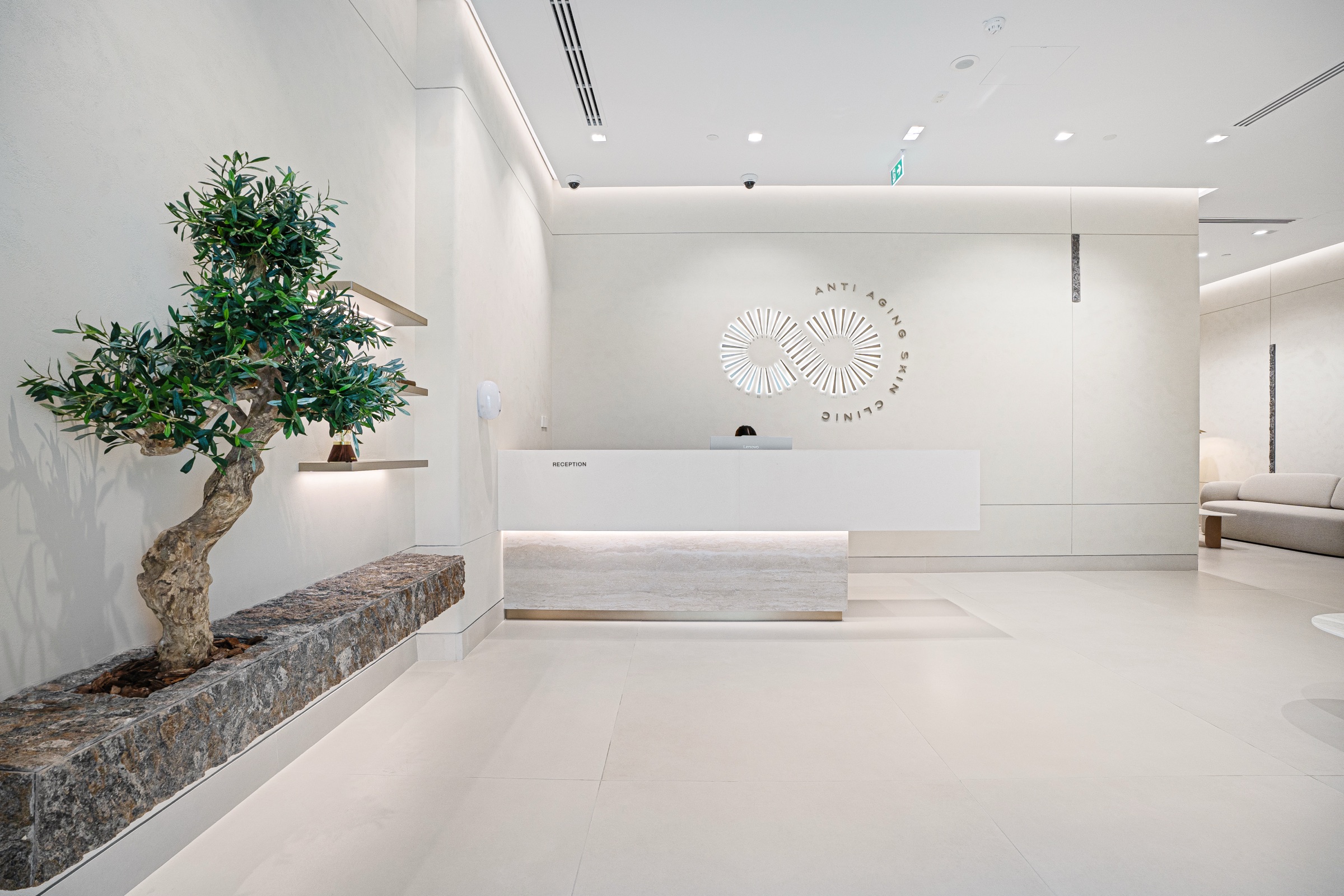 Anti Aging Skin Clinic reception